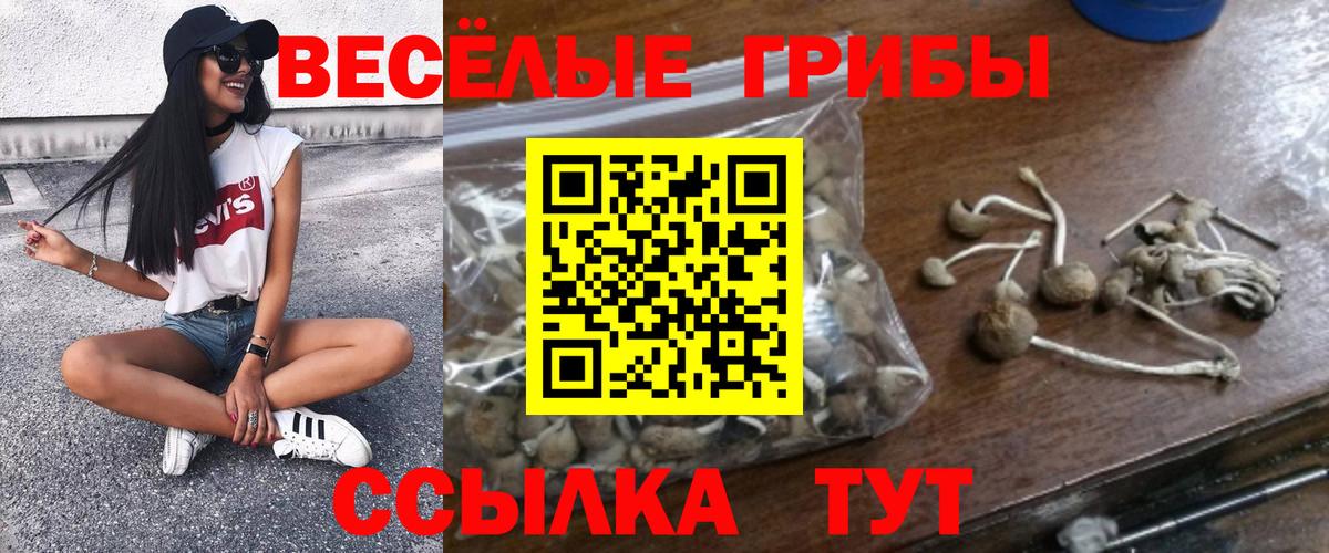 Галлюциногенные грибы Psilocybine cubensis Улан-Удэ